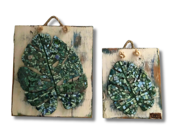 Hojas de Monstera
